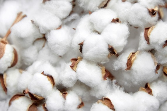 cotton