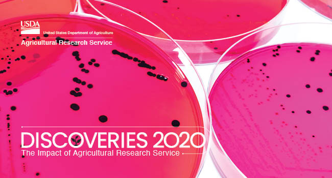 Scientific Discoveries logo