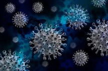 An illustration of viruses