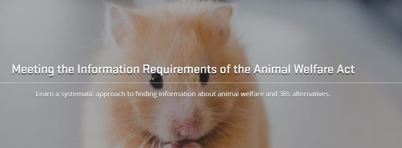 Screen shot of meeting the information requirements of the animal welfare act training 