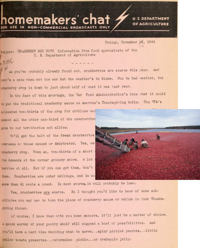 1944 Homemakers' chat script and photo of cranberries being harvested in New Jersey