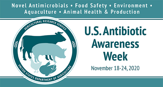 Antibiotic Awareness Week banner