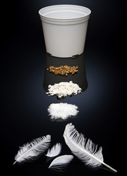 Feathers, pellets and a flower pot