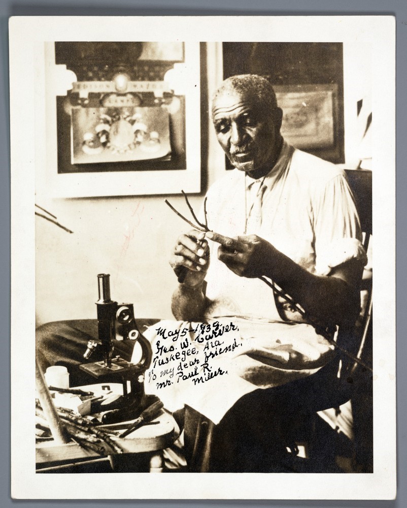 Signed photograph of George Washington Carver seated in front of a microscope  (1939)