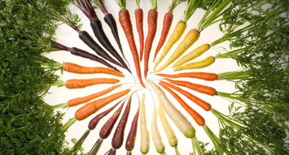 Carrots in a variety of colors arranged in a circle