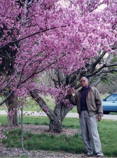 Roland Maurice Jefferson observing flowering cherry trees at U.S. National Arboretum 1995