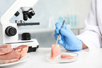 Chicken meat quality control in lab