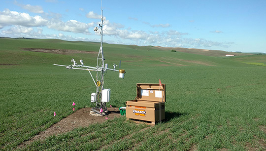 Sensors in a field