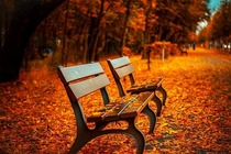 Fall bench