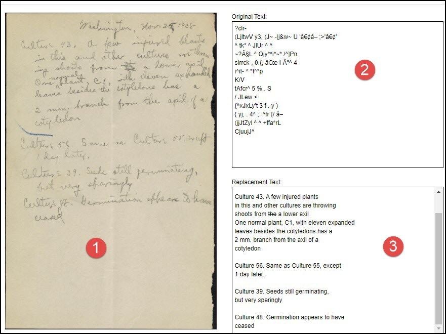 Chart showing transcription process