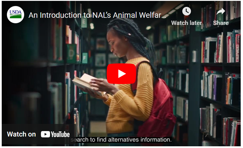 Screenshot of the AWIC YouTube video