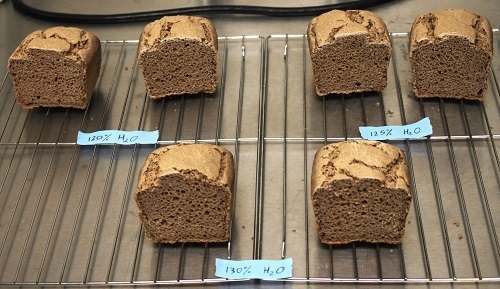 Loaves of bread made with sorghum bran