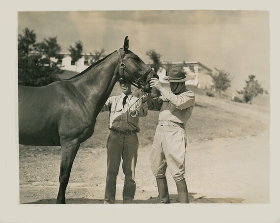 Two Army members inspecting a horse's teeth to determine age