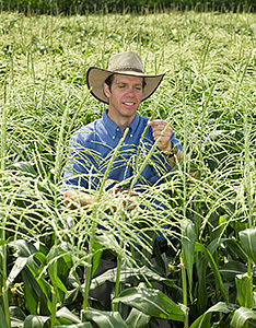 Marty Williams in a corn field. 