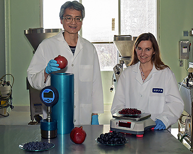 ARS researchers Bor-Sen Chiou and Cristina Bilbao-Sainz test their isochoric freezing technique. 