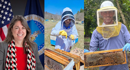 Left:Woman in red poses in front of flags Middle: Woman works with bees Right: Man holds a comb full of bees