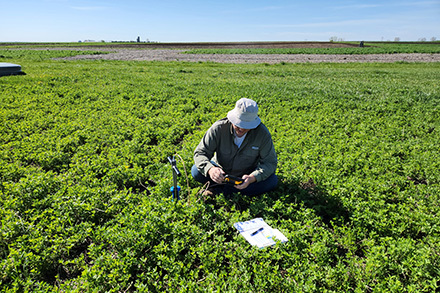 Technician Ross Isley collects data on soil water content in an alfalfa field.