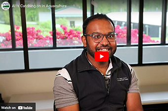 A researchers sitting in front of a window.