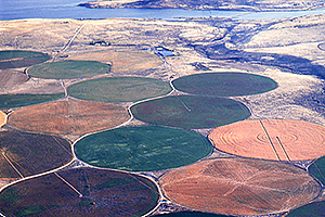 Farmland using pivot irrigation systems. 