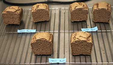 Loaves of bread made with sorghum.