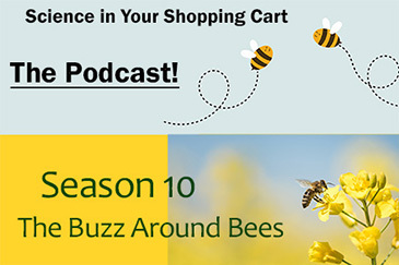 Illustration of two honey bees flying around. Text "Season 10 The Buzz Around Bees"