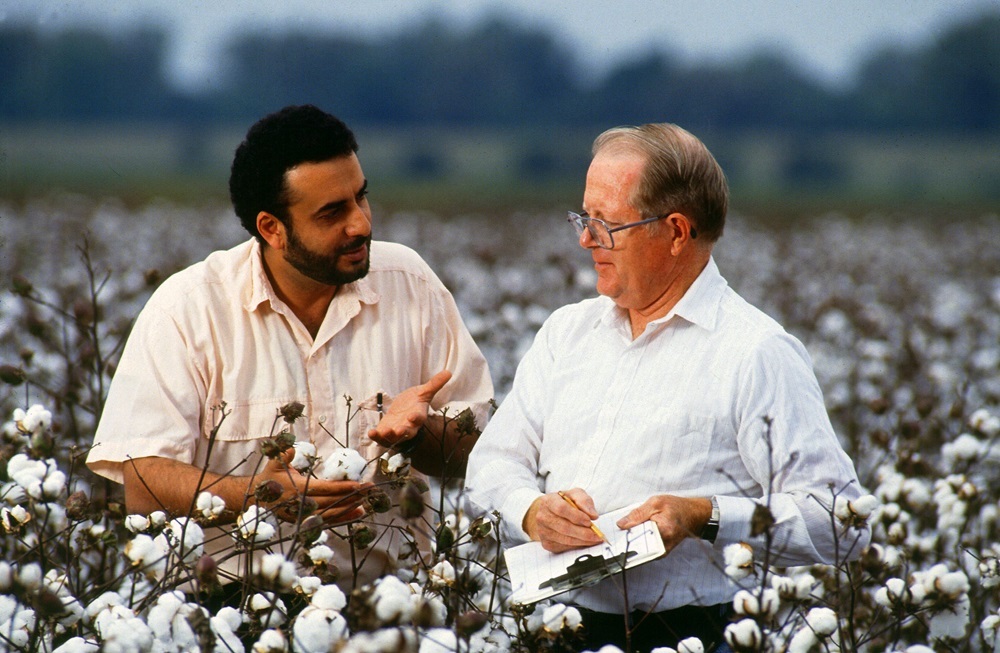 Scientists record cotton plant height