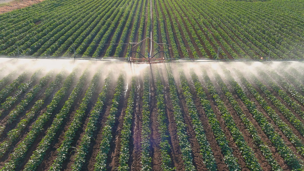 Irrigation system on the field. (Getty stock photo)