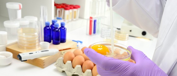 Food scientist experimenting on egg yolk in lab