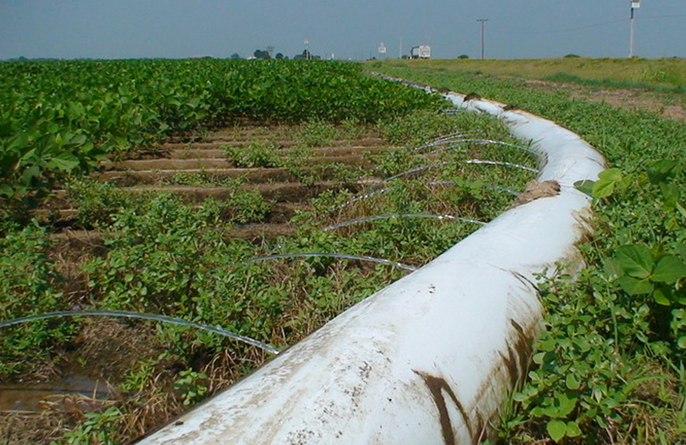 This irrigation polypipe can be a large contributor to microplastics in agricultural settings.
