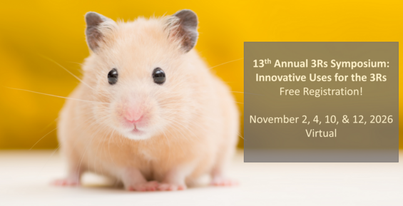 Close-up of a golden hamster with a yellow background and event text announcing the 13th Annual 3Rs Symposium.