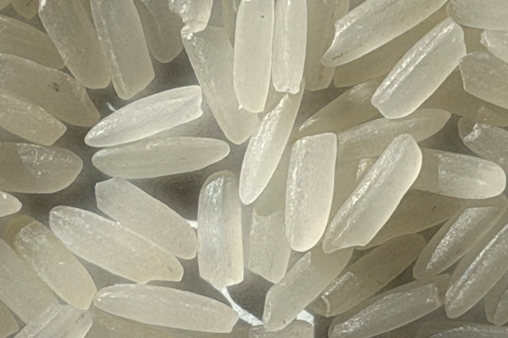 Uncooked Sallah rice. (USDA-ARS)