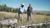 Image of Brush Management depicting two people in a field