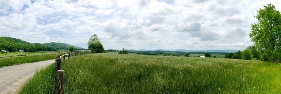 photo of pasture