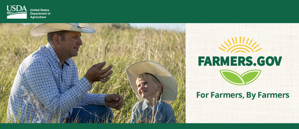 Man and child with cowboy hats on sitting in field