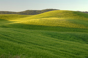 image of grasslands