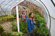 beginning farmers women in high tunnel