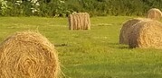Alaska agriculture hay field