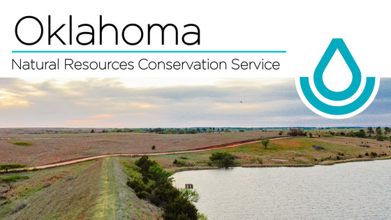 Oklahoma State Newsletter Header