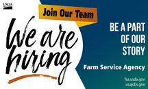 We Are Hiring FSA