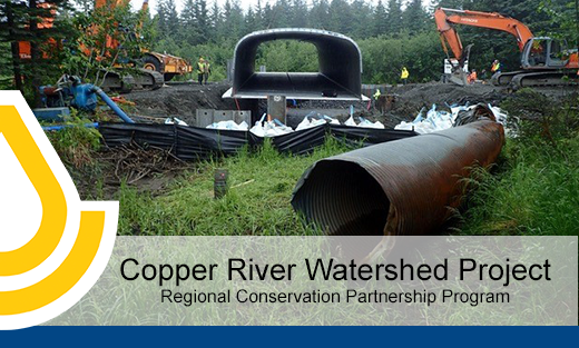 About Our Fisheries - Copper River Watershed Project