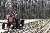 Planting Vegetables New Jersey 2