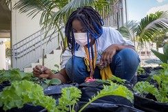 Black Female Urban Farmer looking over her crops