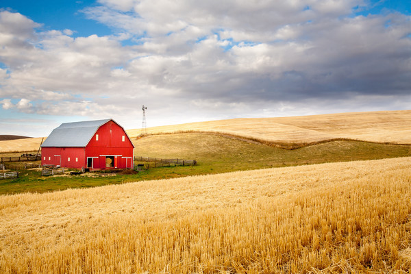 photo of a red barn in a field