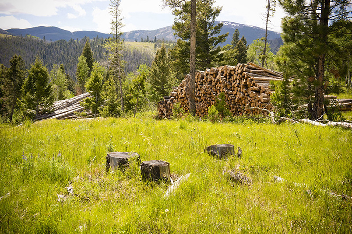 Assistance for timber harvesters and haulers.