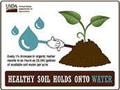 Un suelo saludable retiene el agua: cada aumento del 1% en la materia orgánica del suelo produce 25.000 galones de agua por acre en el suelo