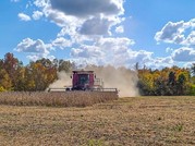 soybean harvest usda flickr