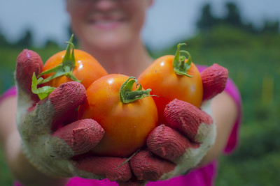 colorful produce usda flickr