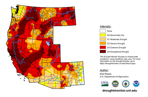 Drought and water shortages continue in the West