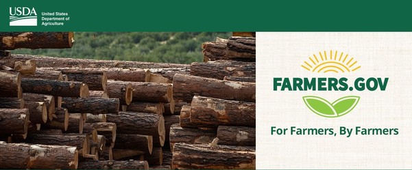 photo of stack of logs