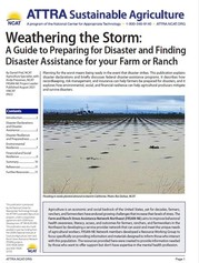 weathering the storm